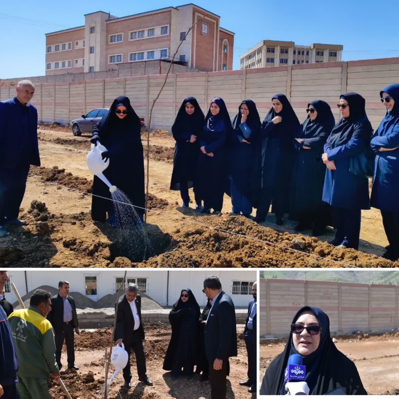 ۳۰ میلیون درخت برای لرستان و تکمیل پروژه ۳۰۰ میلیاردی استانداری