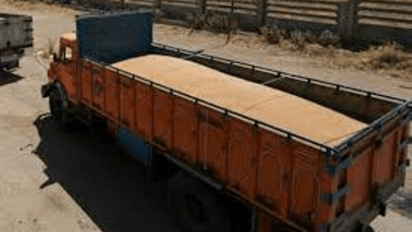 محکومیت ۱۸ میلیارد تومانی برای عرضه خارج از شبکه گندم در لرستان