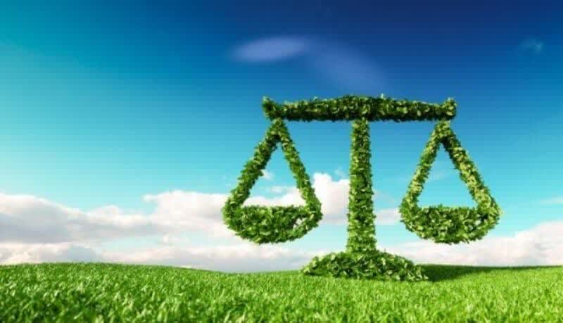 صدور حکم سبز توسط یک قاضی برای یک متخلف زیست محیطی در پلدختر لرستان