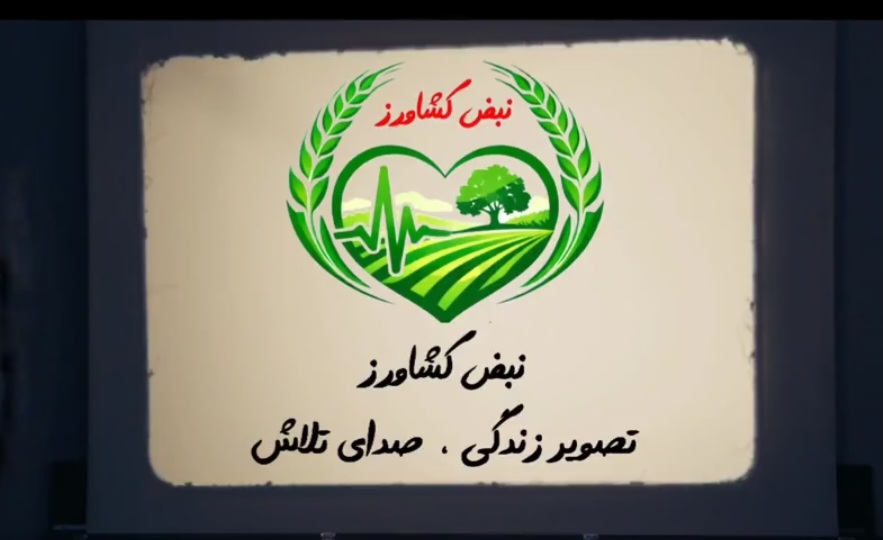 معرفی الگوی موفق تولید نهاده‌ دامی و خوراک دامی نوآورانه در برنامه «نبض کشاورز»در لرستان