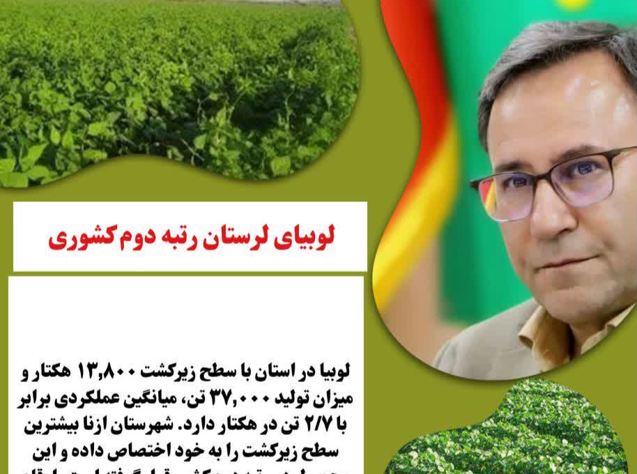 سطح زیر کشت لوبیای لرستان در جایگاه رتبه دوم کشور